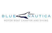 Blue Nautica logo