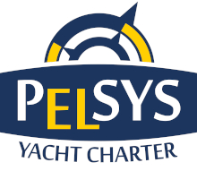 Pelsys logo